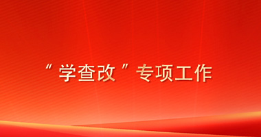 “学查改”专项工作
